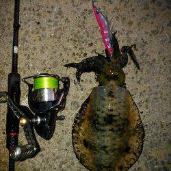 仕事終わりの一杯！